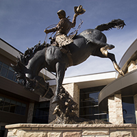 Wyoming Cowboy